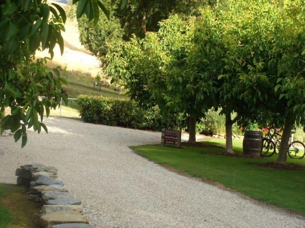 Burn Cottage Retreat Cromwell Ngoại thất bức ảnh